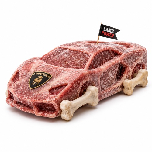 Lammborgini